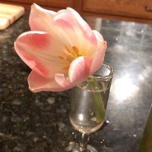 Meet your Posher, Karissa